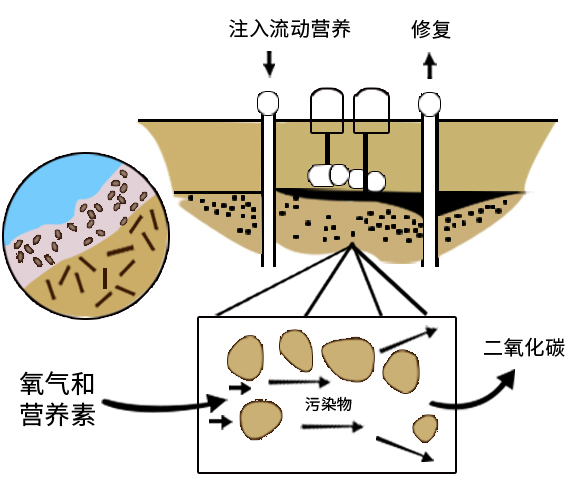 傳輸方式